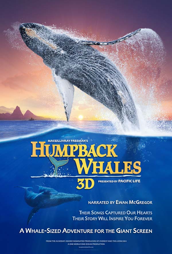 Humpback Whales