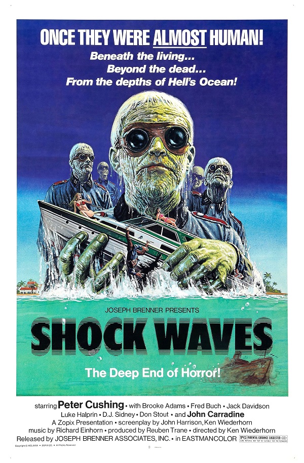 Shock Waves