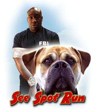 See Spot Run