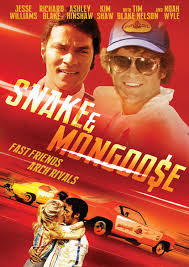 Snake And Mongoose