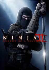 Ninja: Shadow Of A Tear