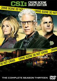 CSI - Season 13