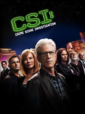 CSI - Season 9