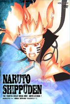 Naruto Shippuden - Season 19,