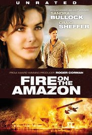 Fire On The Amazon